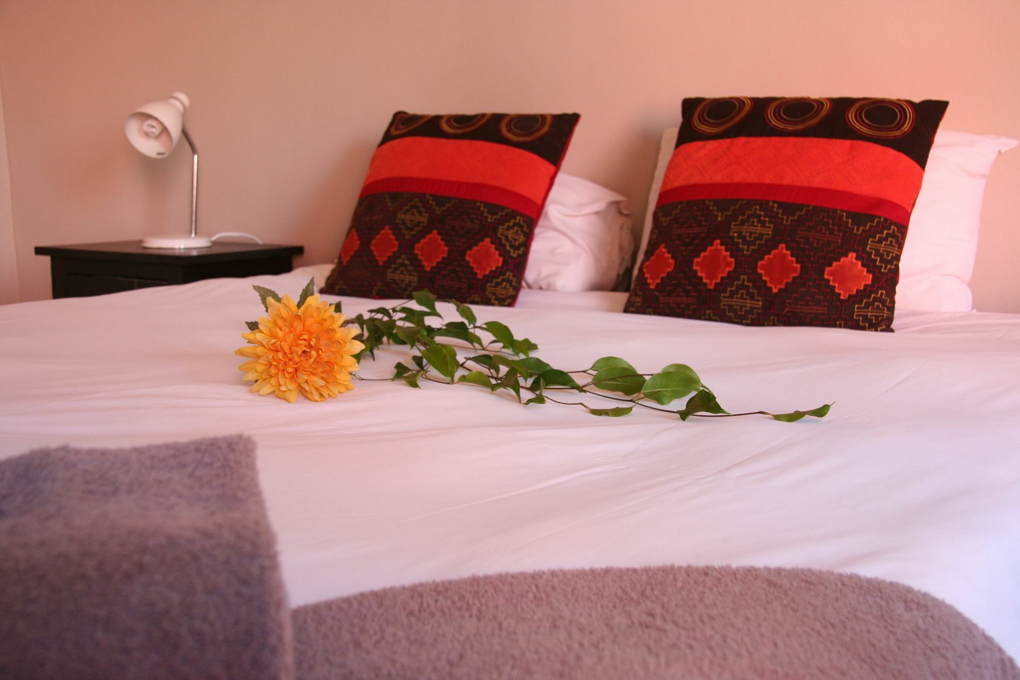 Dunedin Star Guesthouse Суакопмунд Екстериор снимка